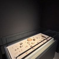 評論圖片 3
