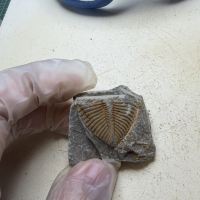 評論圖片 3