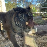 評論圖片 1