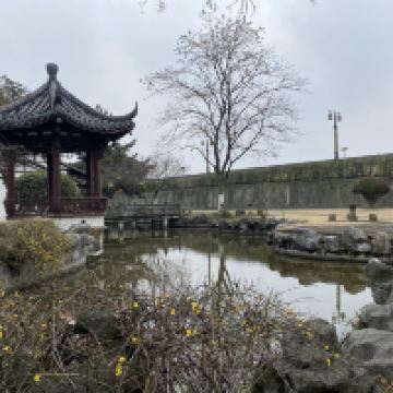 評論圖片 5
