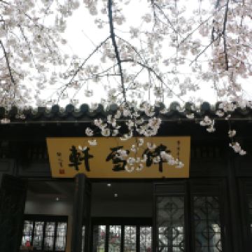 評論圖片 8