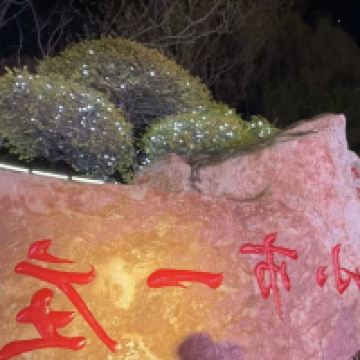 評論圖片 4