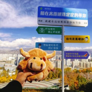 評論圖片 1
