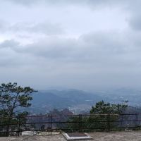 評論圖片 2