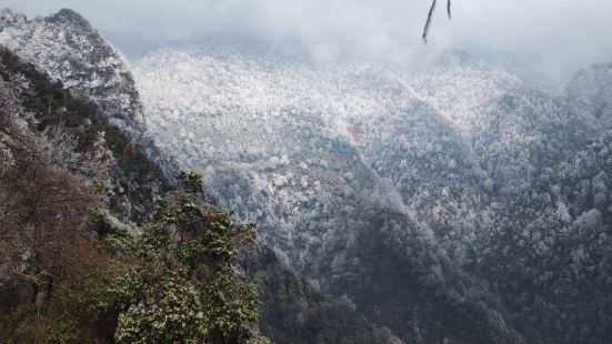 去的時候是淡季，遇到下雪路滑不能上海洋界，打電話詢問了景區也