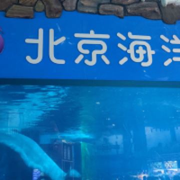 評論圖片 2