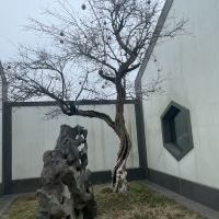 評論圖片 5