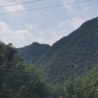 評論圖片 7