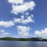 評論圖片 2