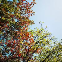 評論圖片 4