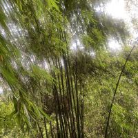 評論圖片 3