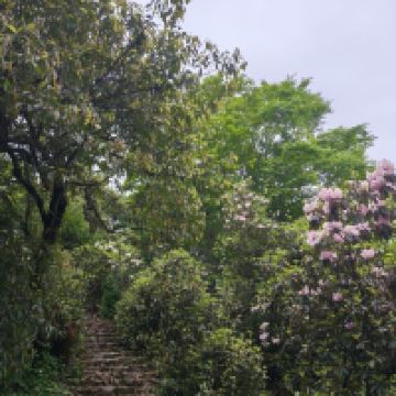 評論圖片 1
