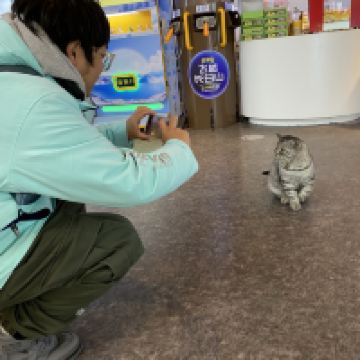 評論圖片 1