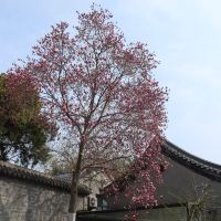 評論圖片 4