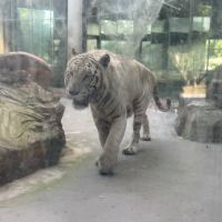 評論圖片 1