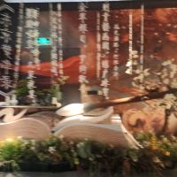 評論圖片 7
