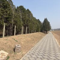 評論圖片 2