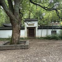 評論圖片 9