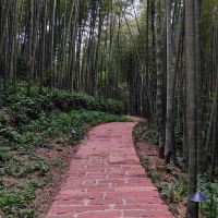 評論圖片 7
