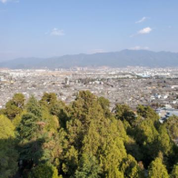 評論圖片 5