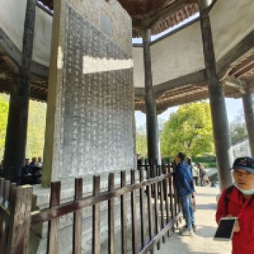評論圖片 5