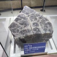評論圖片 4