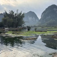 評論圖片 5