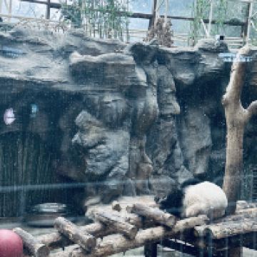評論圖片 7