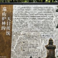 評論圖片 9