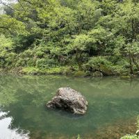 評論圖片 6