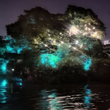 評論圖片 8