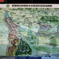 評論圖片 5