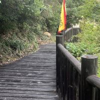 評論圖片 1