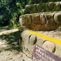 評論圖片 1