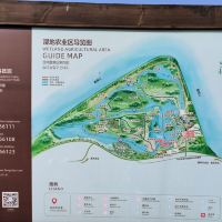 評論圖片 2