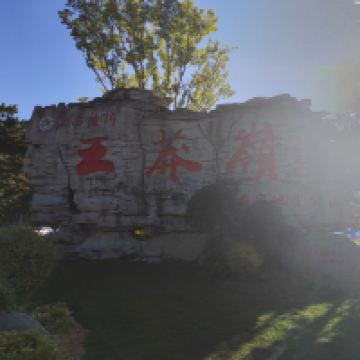 評論圖片 4