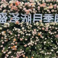 評論圖片 2