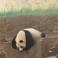 評論圖片 2