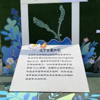 評論圖片 1