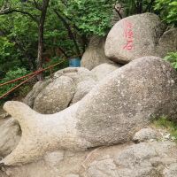 評論圖片 6