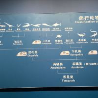 評論圖片 5