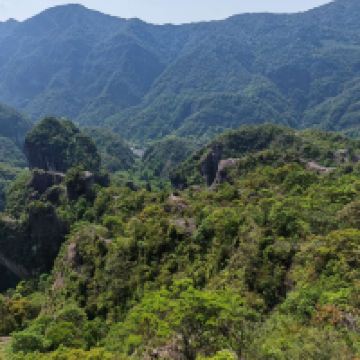 評論圖片 4