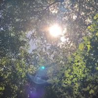 評論圖片 1