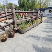 評論圖片 9