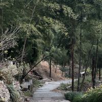 評論圖片 6