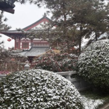 評論圖片 3