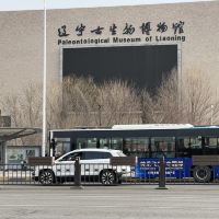 評論圖片 1