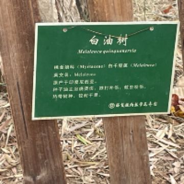 評論圖片 4