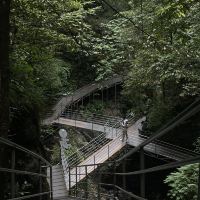 評論圖片 2