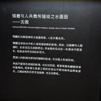 評論圖片 8